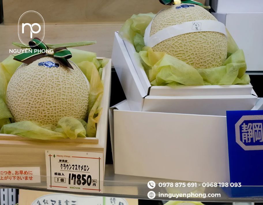 mau-hop-giay-dung-dua-luoi-goi-dep 